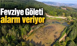 Fevziye göleti alarm veriyor