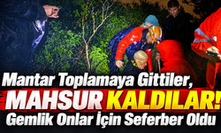 Mantar Toplamaya Gittiler Mahsur Kaldılar Gemlik Onlar İçin Seferber Oldu.