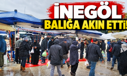 İnegöl balığa akın etti!