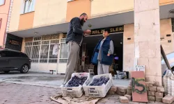 İnegöl’de 10 ton eriği satamayınca sosyal medyaya başvurdu