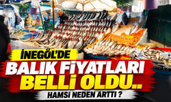 İnegöl’de balık fiyatları belli oldu.. Hamsi neden arttı ?