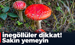İnegöllüler dikkat! Sakın yemeyin