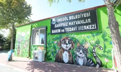 İnegöl’de Hayvanları Koruma Günü’nde duvarlar çocukların fırçalarıyla renklendi