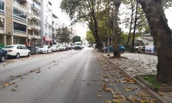 İnegöl'de sonbaharın renkleri ortaya çıktı! Yollar sarı ve kahverengiye büründü