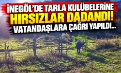 İnegöl'de tarla kulübelerine hırsızlar dadandı! Vatandaşlara çağrı yapıldı...