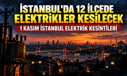İstanbul'da 12 ilçede elektrikler kesilecek: İşte ilçe ilçe kesinti saatleri | 1 Kasım İstanbul elektrik kesintileri