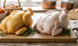 Marketlerdeki tavuklar neden sarı veya beyaz olur? İşte renk farkının nedeni