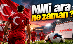 Milli ara ne zaman ?