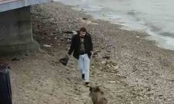 Mudanya sahiline domuzlar indi