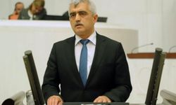 Ömer Faruk Gergerlioğlu kimdir, kaç yaşında, nereli? Hangi partiden, neden gündemde?