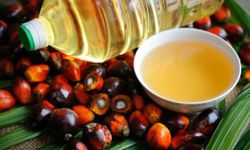Palm Yağı Nedir, Zararlı mı? Hangi Gıdalarda Bulunuyor?