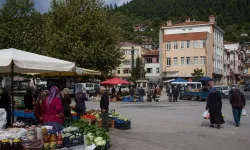 Pazaryeri’nden Bozkurt’a İlçe Merkezinin Değişen Kimliği