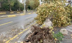 Sakarya'da sağanak sele neden oldu!