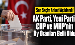 Seçim Anketi Açıklandı! AK Parti, Yeni Parti, CHP ve MHP'nin Oy Oranları Belli Oldu