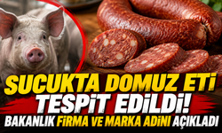 Sucukta domuz eti tespit edildi! Bakanlık firma ve marka adını açıkladı