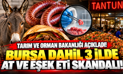 Tarım ve Orman Bakanlığı açıkladı! Bursa dahil 3 ilde at ve eşek eti skandalı
