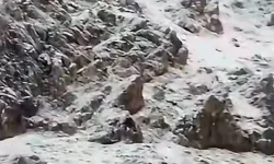 Toroslar beyaza büründü