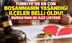 Türkiye'de en çok boşanmanın yaşandığı ilçeler belli oldu! Bursa'dan iki ilçe listede