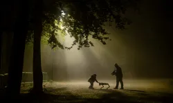 UEDAŞ'ın Şehrin Işıkları Fotoğraf Yarışması sonuçlandı! İşte kazananlar