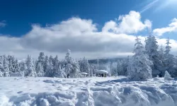 Uludağ'a Sezonun İlk Karı Düştü!