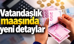 Vatandaşlık maaşında yeni detaylar: Gelir sınırı, destek kalemleri ve başvuru planı