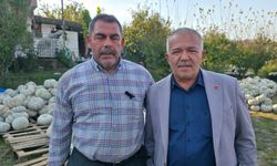İnegöl'de Üreticinin Pazar Çıkmazı! 20 Ton Kabak İçin Alıcı Arıyorlar