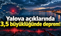 Yalova açıklarında 3,5 büyüklüğünde deprem! Marmara Denizi sallandı