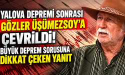 Yalova depremi sonrası gözler Üşümezsoy'a çevrildi! Büyük deprem sorusuna dikkat çeken yanıt