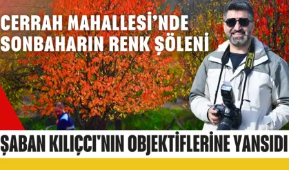 Cerrah Mahallesi’nde sonbaharın renk şöleni Şaban Kılıçcı'nın objektiflerine yansıdı