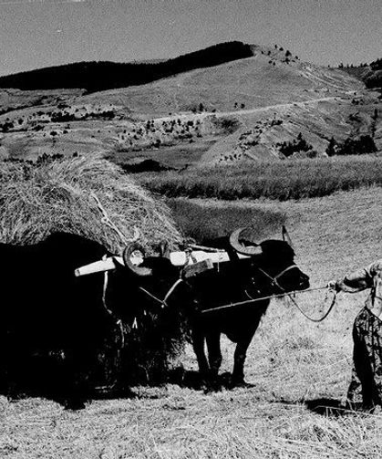 TARİHTE BUGÜN NELER YAŞANDI?