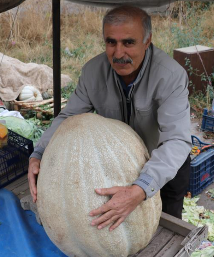 Rüyada Kabak Görmek Ne Anlama Gelir? Rüyada Kabak Yemek ve Kabak Toplamak
