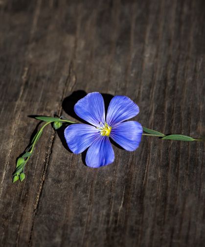 Unutma Beni Günü | 24 Şubat Ne Günü? 24 Şubat Dünyada ve Türkiye’de Ne Günü? 24 Şubat Ne Burcu?