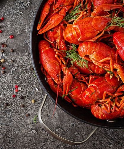 Rüyada Istakoz Görmek Ne Anlama Gelir? Şans, Para ve Başarıya İşaret Ediyor