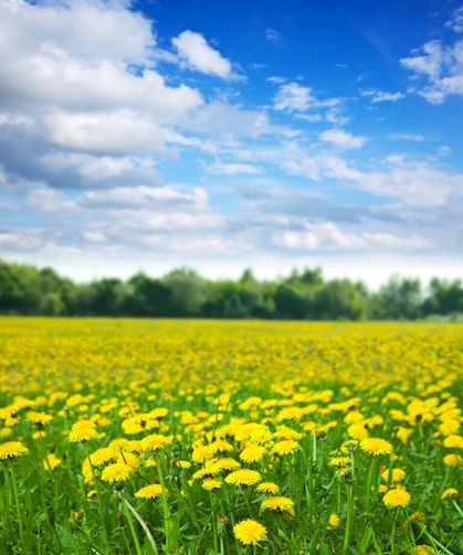 Nisan Ayı Ne Anlama Geliyor? 2026 Nisan Rehberi, Tarihi, Önemi, Tatiller ve Vergi Takvimi