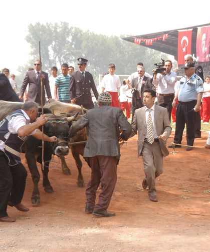 İnegöl'de 19 Mayıs Kutlamalarında Kaçan Boğa Paniği