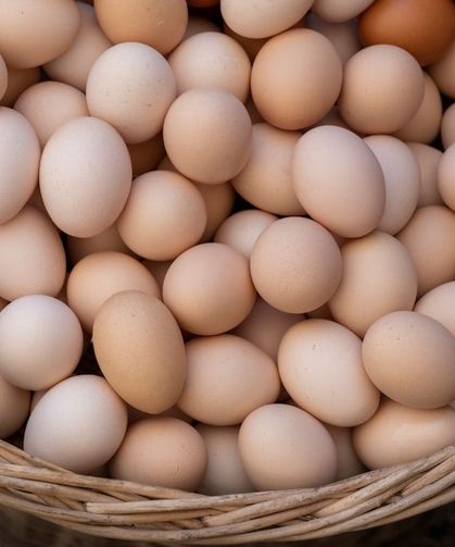 Çift Sarılı Yumurta Neden Olur? Bu Yumurtadan İki Civciv Çıkar mı?