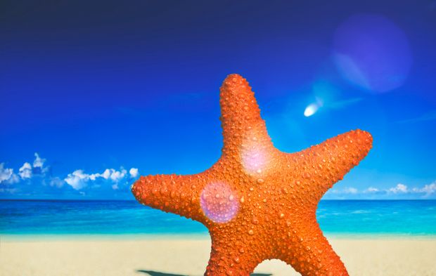 Deniz Yıldızının Öyküsünü Biliyor musunuz? | Kıssadan Hisse