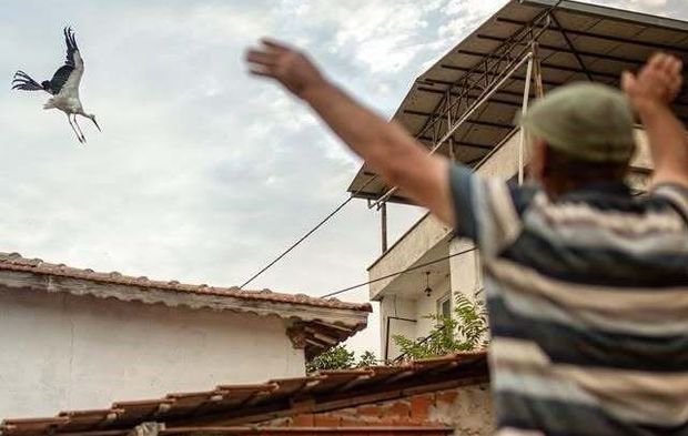 Yaren ve Nazlı Leylek Göç Yolculuğuna Çıktı