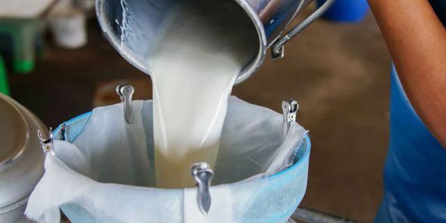 Çiğ süt üretimi azalıyor, fiyatı artıyor