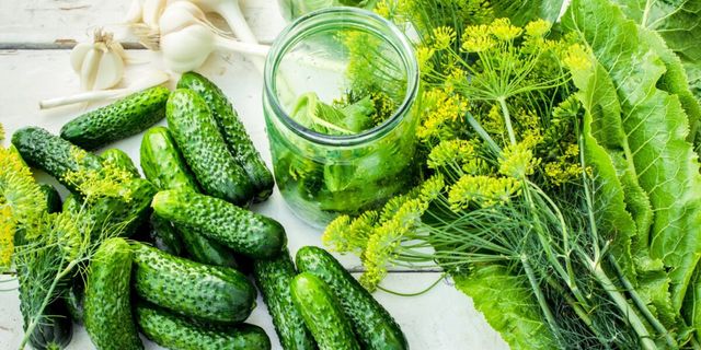Salatalıkların Çürümesini Önlemek için Pratik Yöntemler