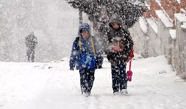 Kar yağışı etkiledi: Artvin'de okullar tatil edildi