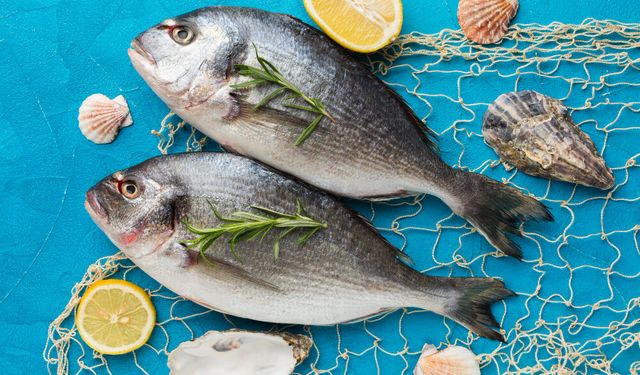 Rüyada Balık Görmek Ne Demek? Dini Rüya Tabirleri