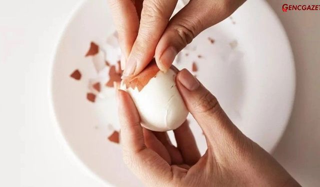 Tarım Bakanlığı Uyarıyor: Kirli Yumurtaları Yıkamayın!