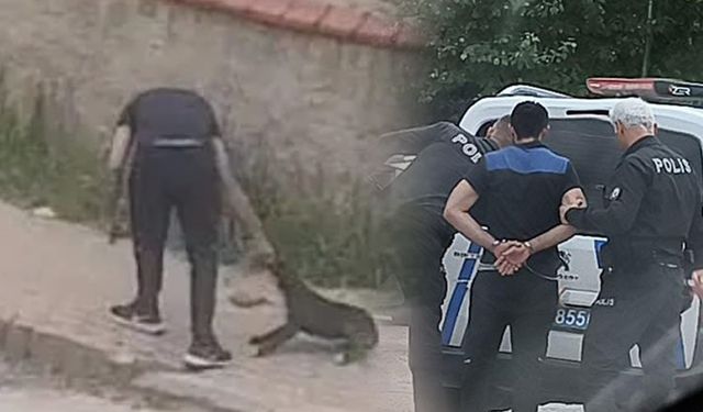 İnegöl'de Yavru Köpeğe Şiddet Uygulayan Şahıs Gözaltına Alındı