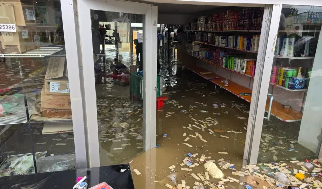 Gürcistan'ı Sel Vurdu: Dükkanlar Sular Altında, Köprüler Çöktü