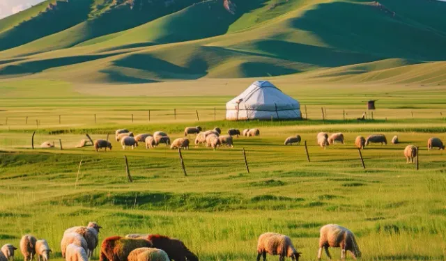 Kurbanını Yurt Dışında Kestirip Bağışlamakla Kurban Olur mu? Vakıf ve Dernekler Kurban Kesebilir mi?