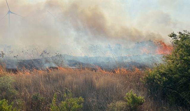 Çanakkale'de tarım arazisinde çıkan yangın ormanlık alana sıçradı