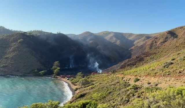 Marmaris'teki orman yangını kısmen kontrol altına alındı