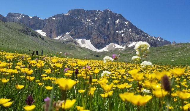 Burası İsviçre Alpleri Değil Munzur Dağları'ndaki Merg Yaylası!