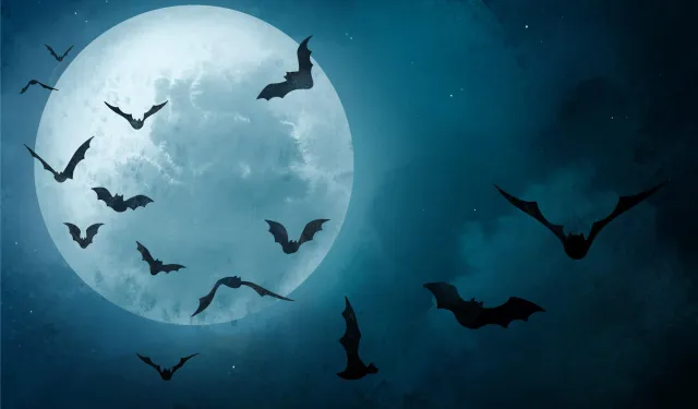 Yarasalar Niçin Kan Emiyor? Vampir Yarasa Tehlikeli mi?